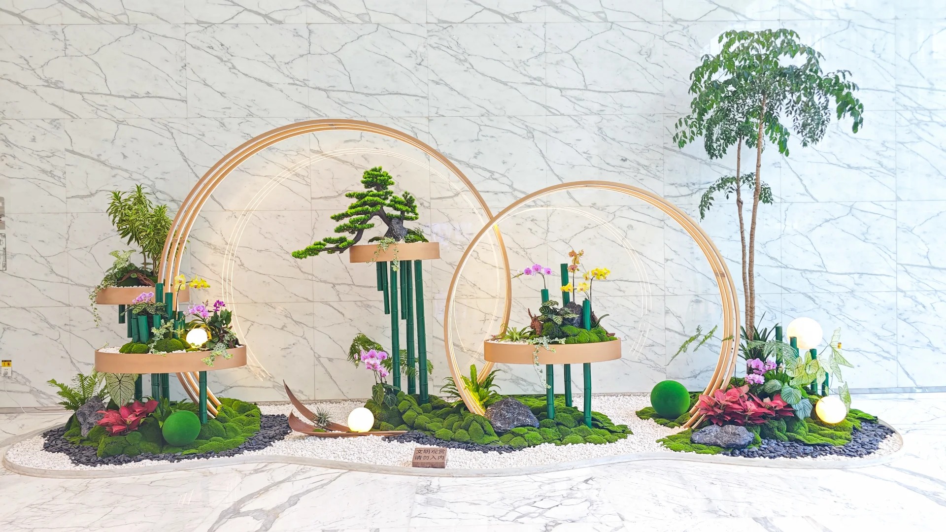 专业花卉出租，宁波奉化的绿色空间缔造者